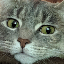 allison butler's avatar